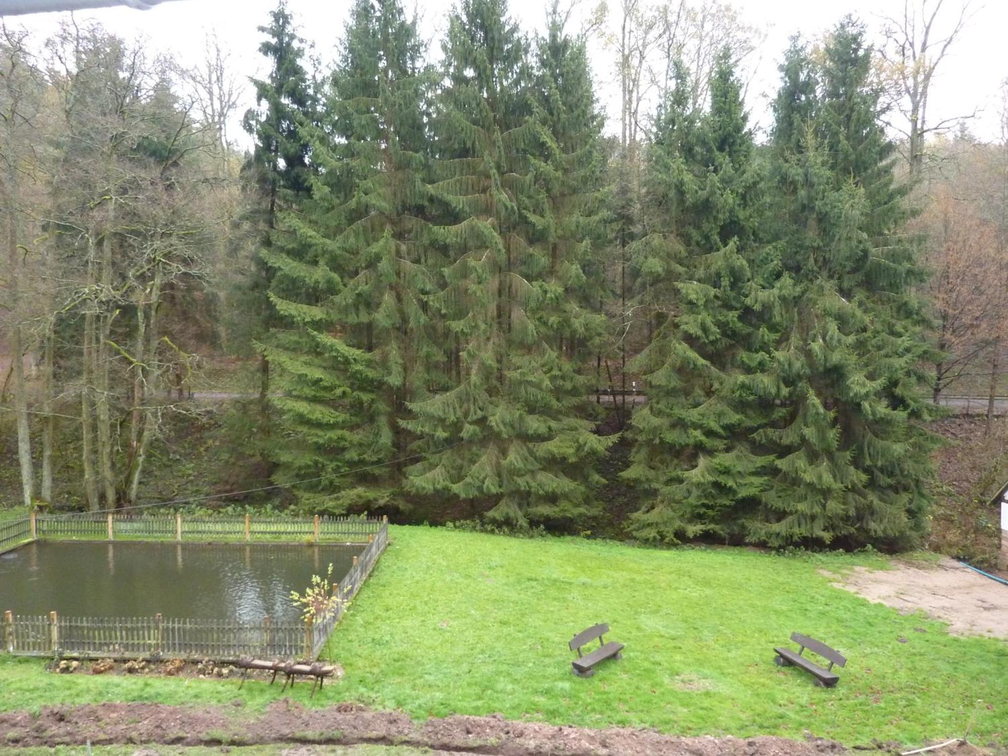 Hof Guttels Waldgasthof Ferienpension Rotenburg an der Fulda Phòng bức ảnh